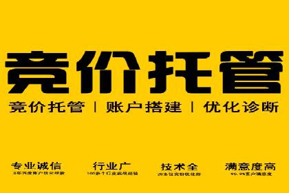 竞价SEM案例分享：快速提高网站流量技巧